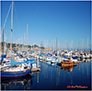 Monterey Bay Yacht Harbor