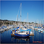 Monterey Bay Yacht Harbor 2