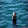 Mr. Personality, the California Sea Otter